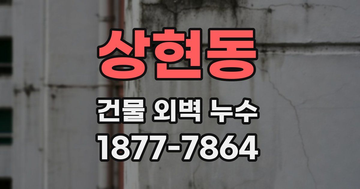 상현동 건물 외벽 누수