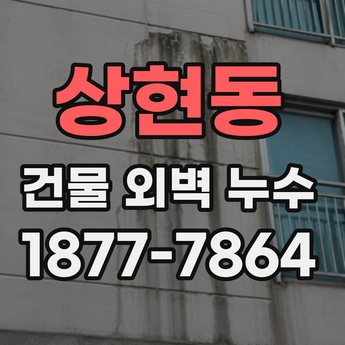 상현동 건물 외벽 누수