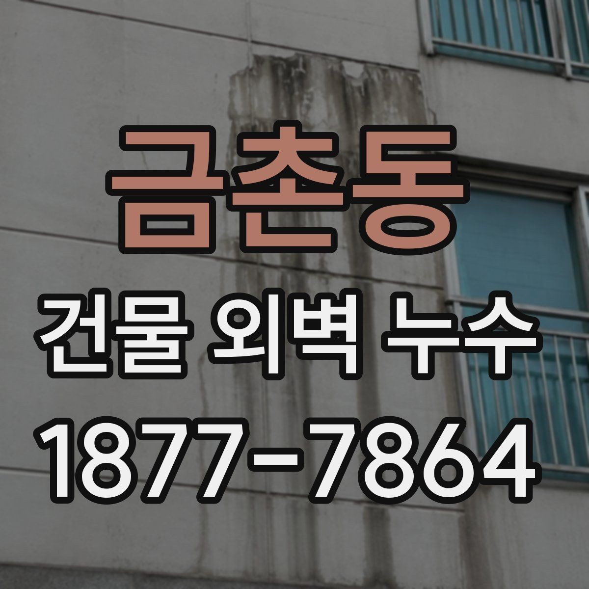 금촌동 건물 외벽 누수 수리 전후로 비교해야 할 항목