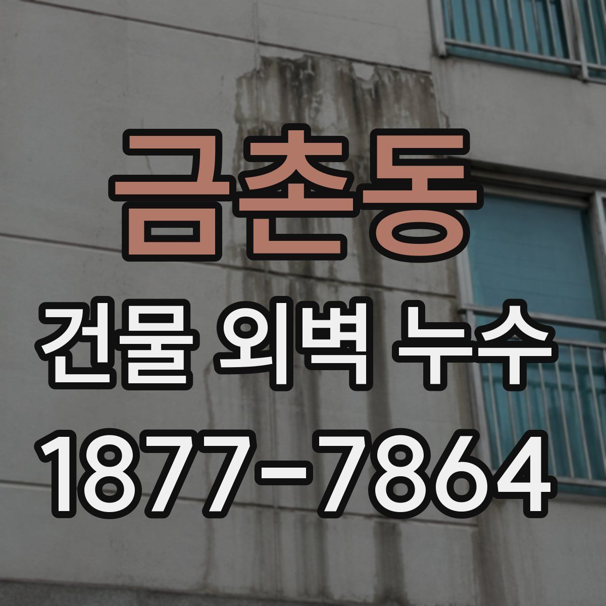 금촌동 건물 외벽 누수