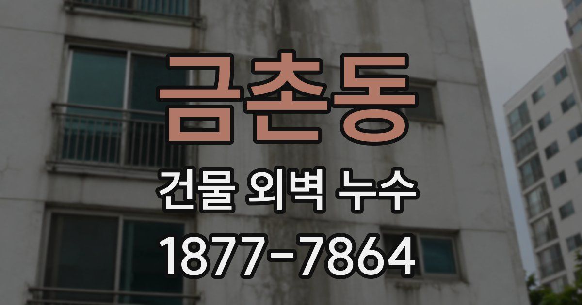 금촌동 건물 외벽 누수