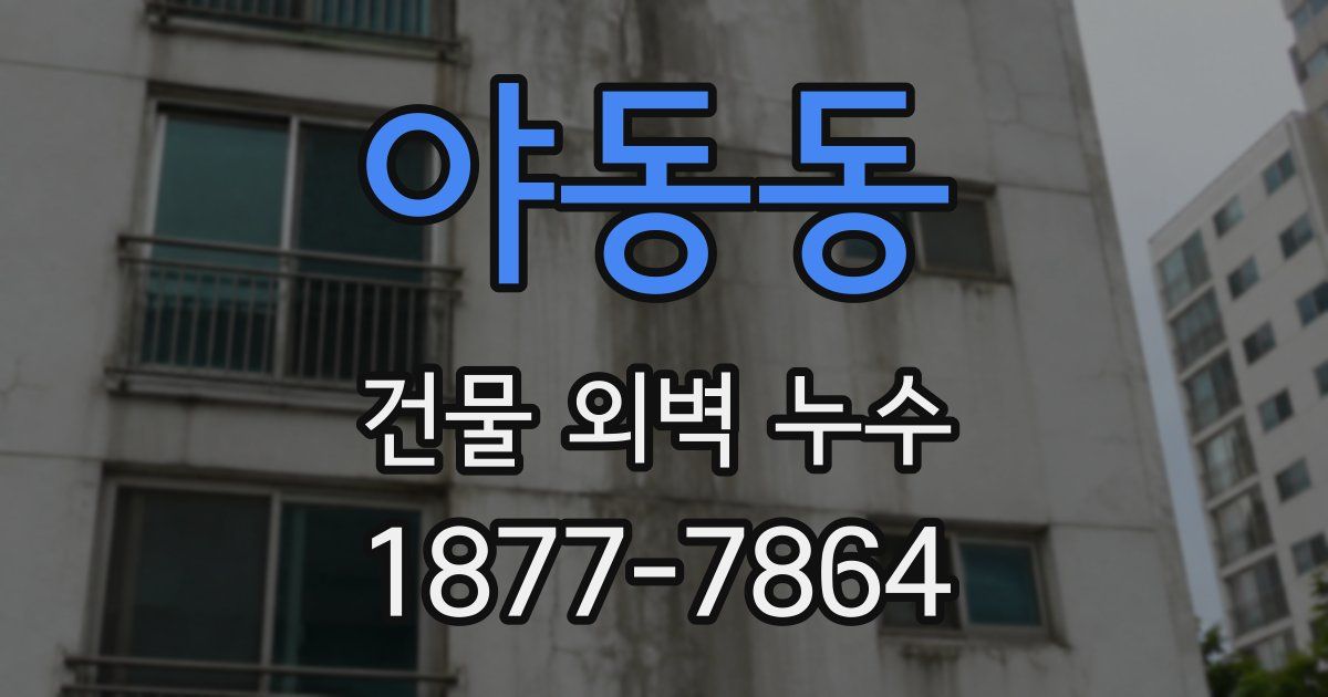 야동동 건물 외벽 누수