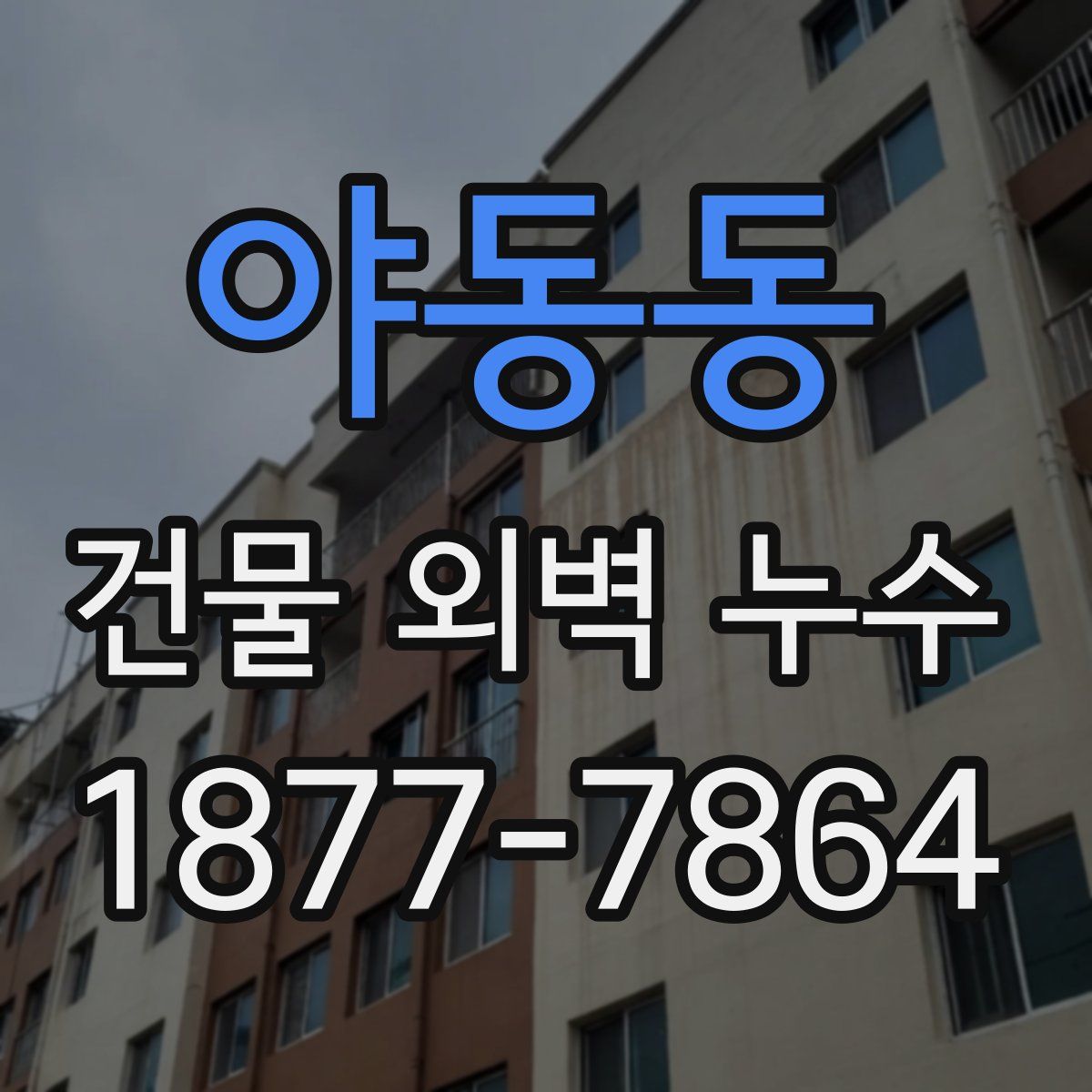 야동동 건물 외벽 누수