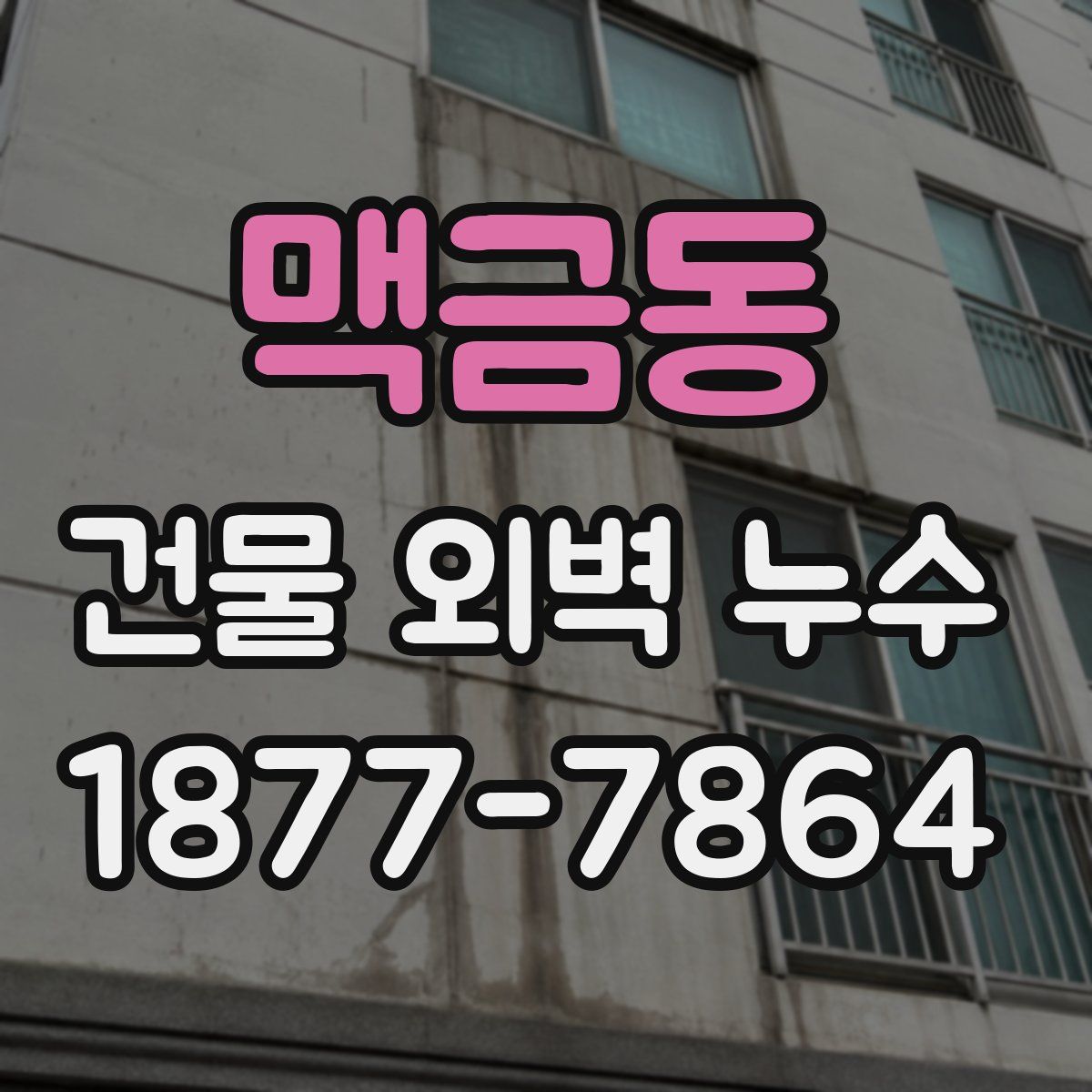맥금동 건물 외벽 누수
