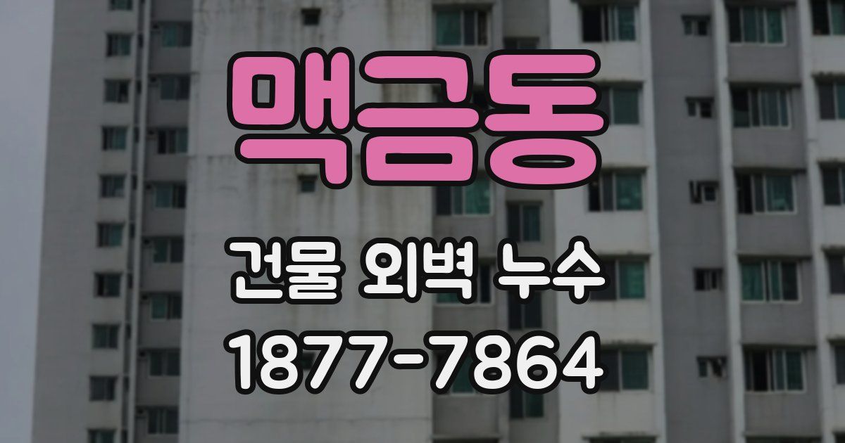 맥금동 건물 외벽 누수