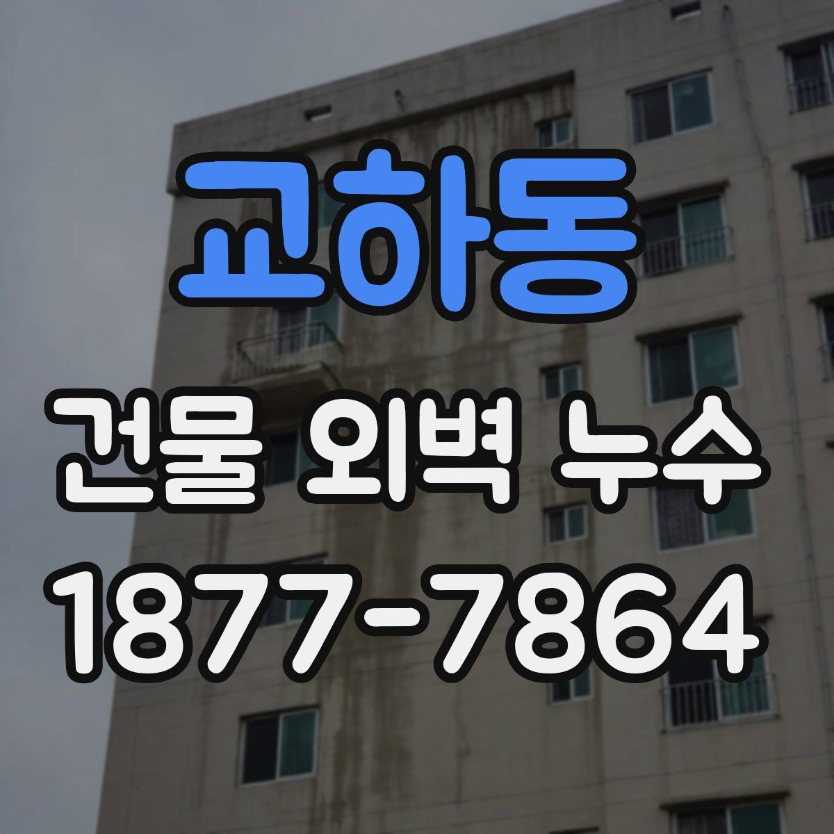 교하동 건물 외벽 누수