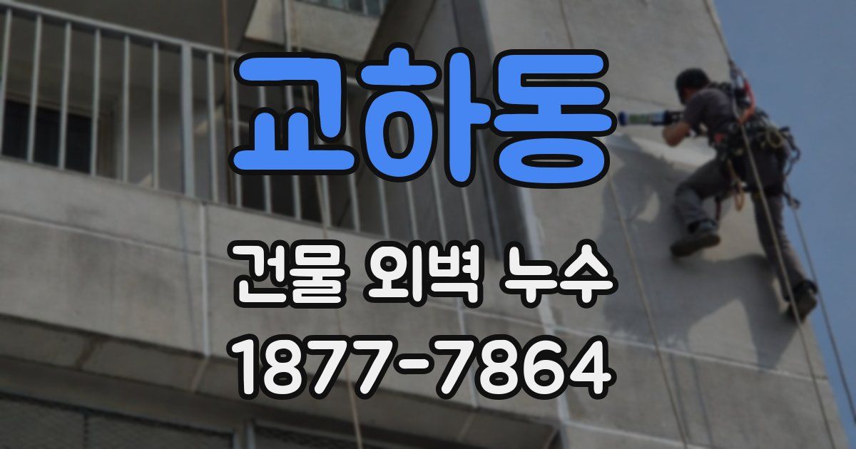 교하동 건물 외벽 누수