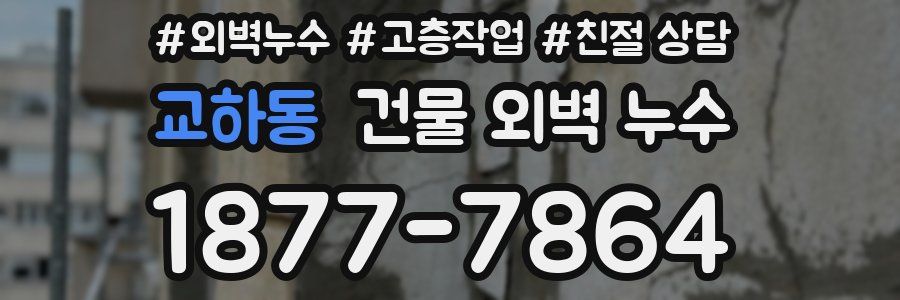 교하동 건물 외벽 누수