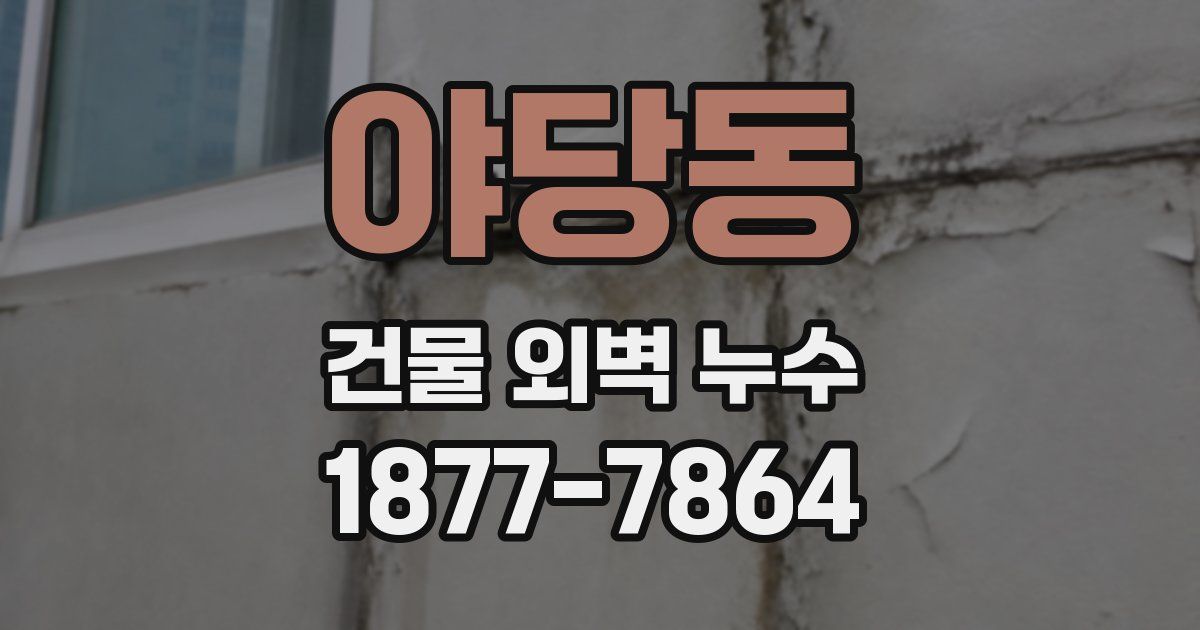 야당동 건물 외벽 누수