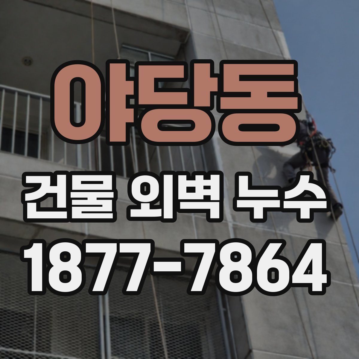 야당동 건물 외벽 누수
