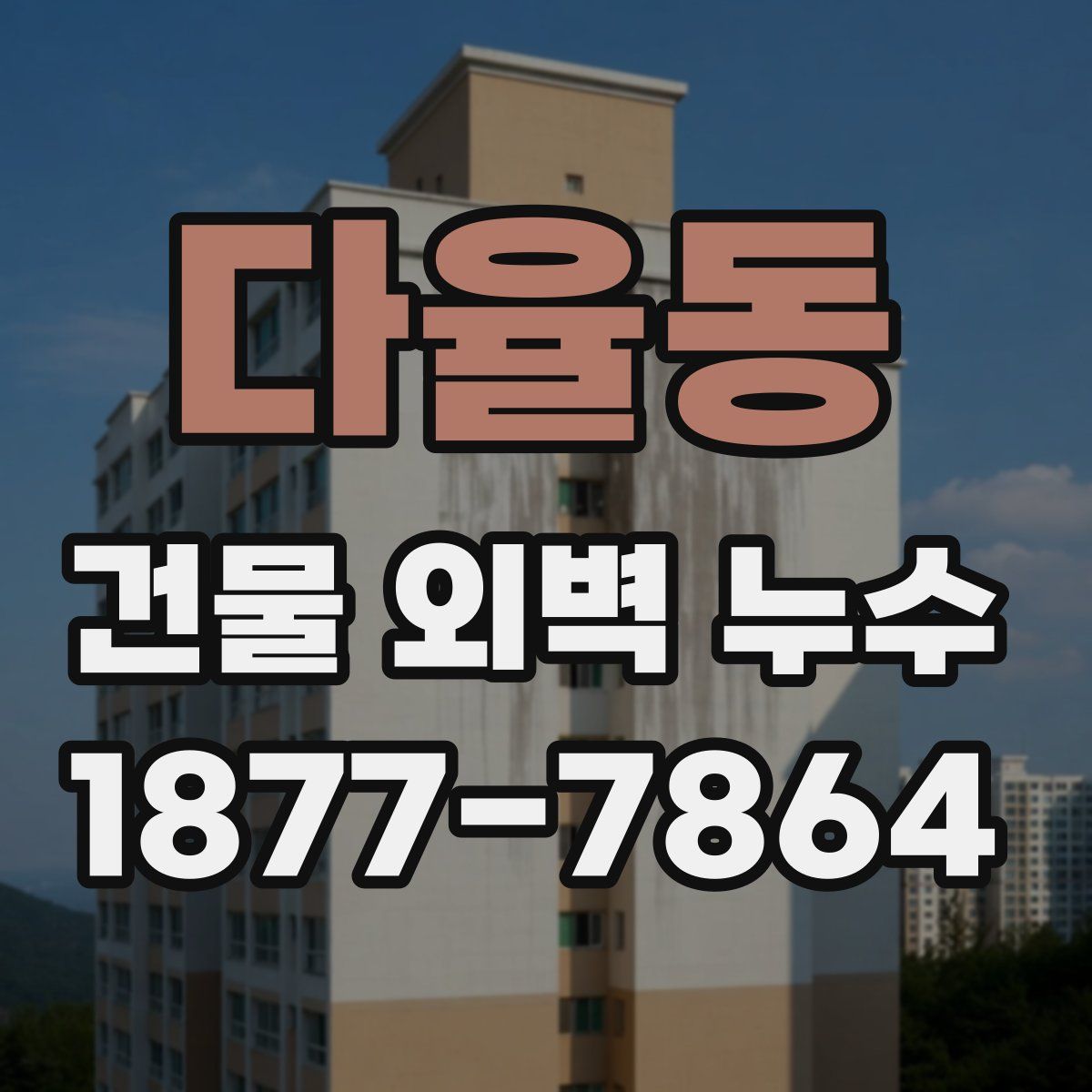 다율동 건물 외벽 누수