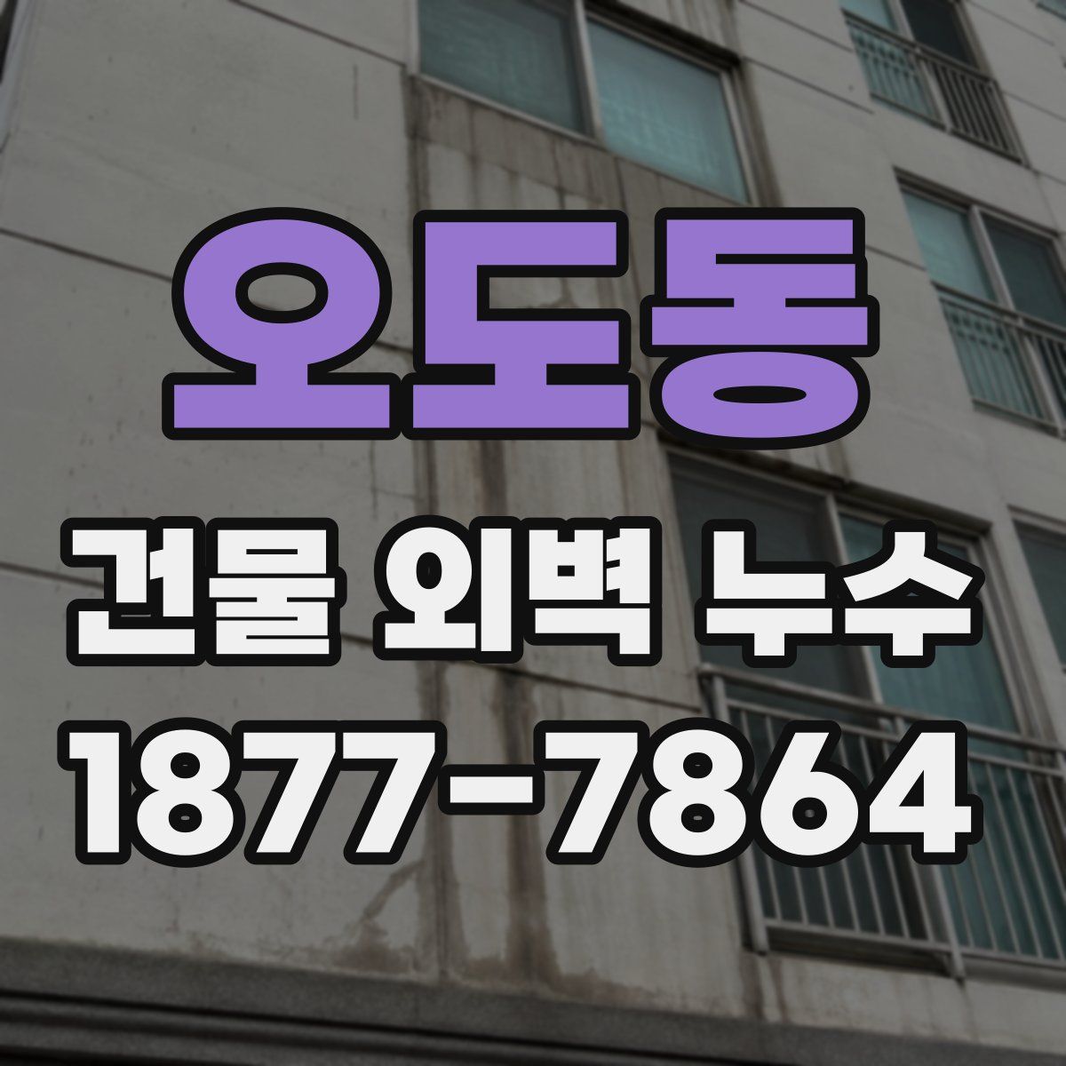 오도동 건물 외벽 누수