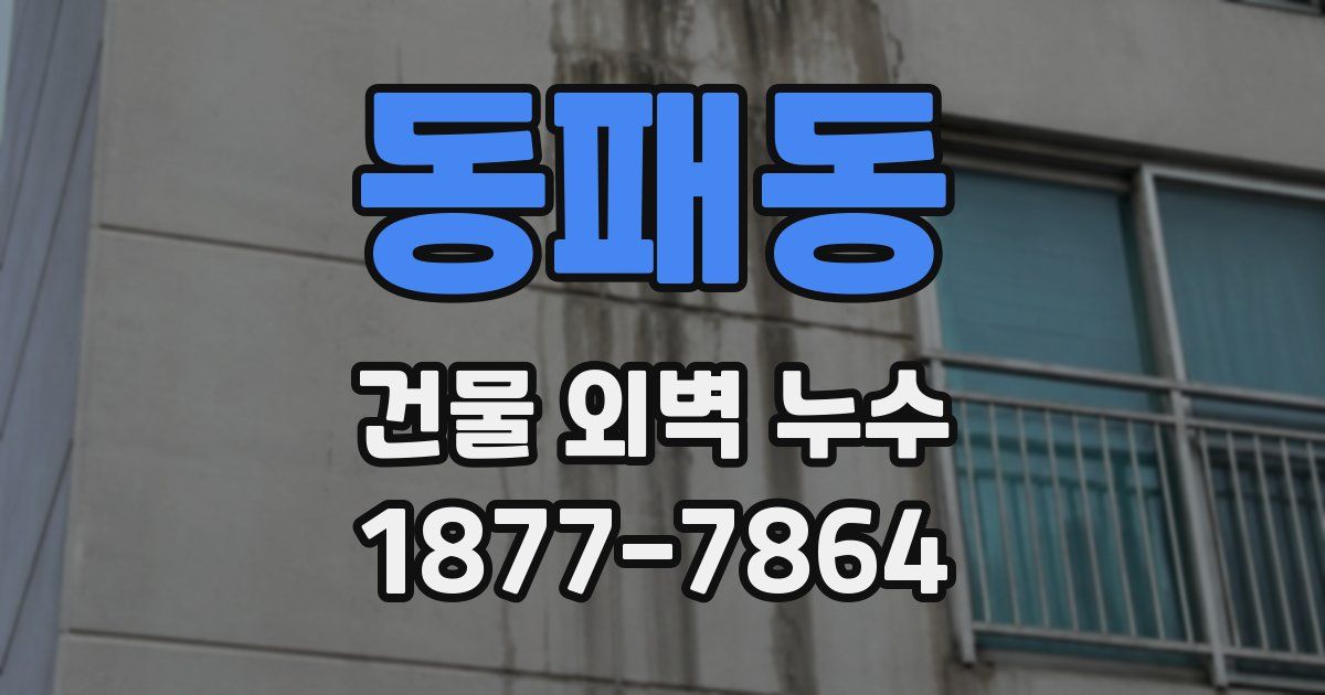 동패동 건물 외벽 누수