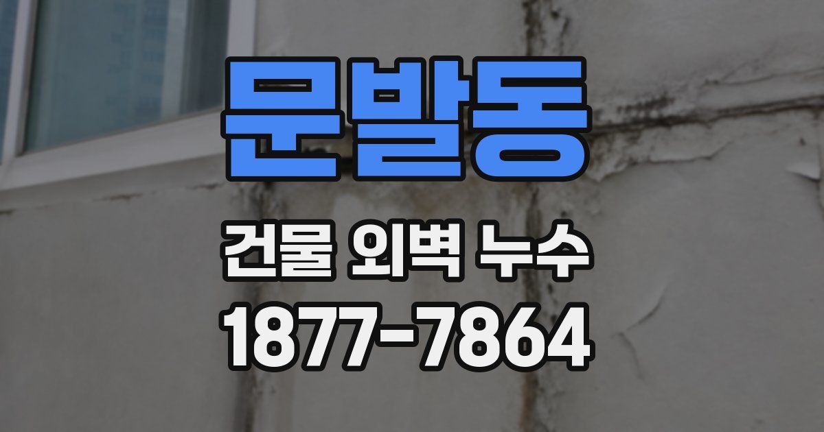 문발동 건물 외벽 누수