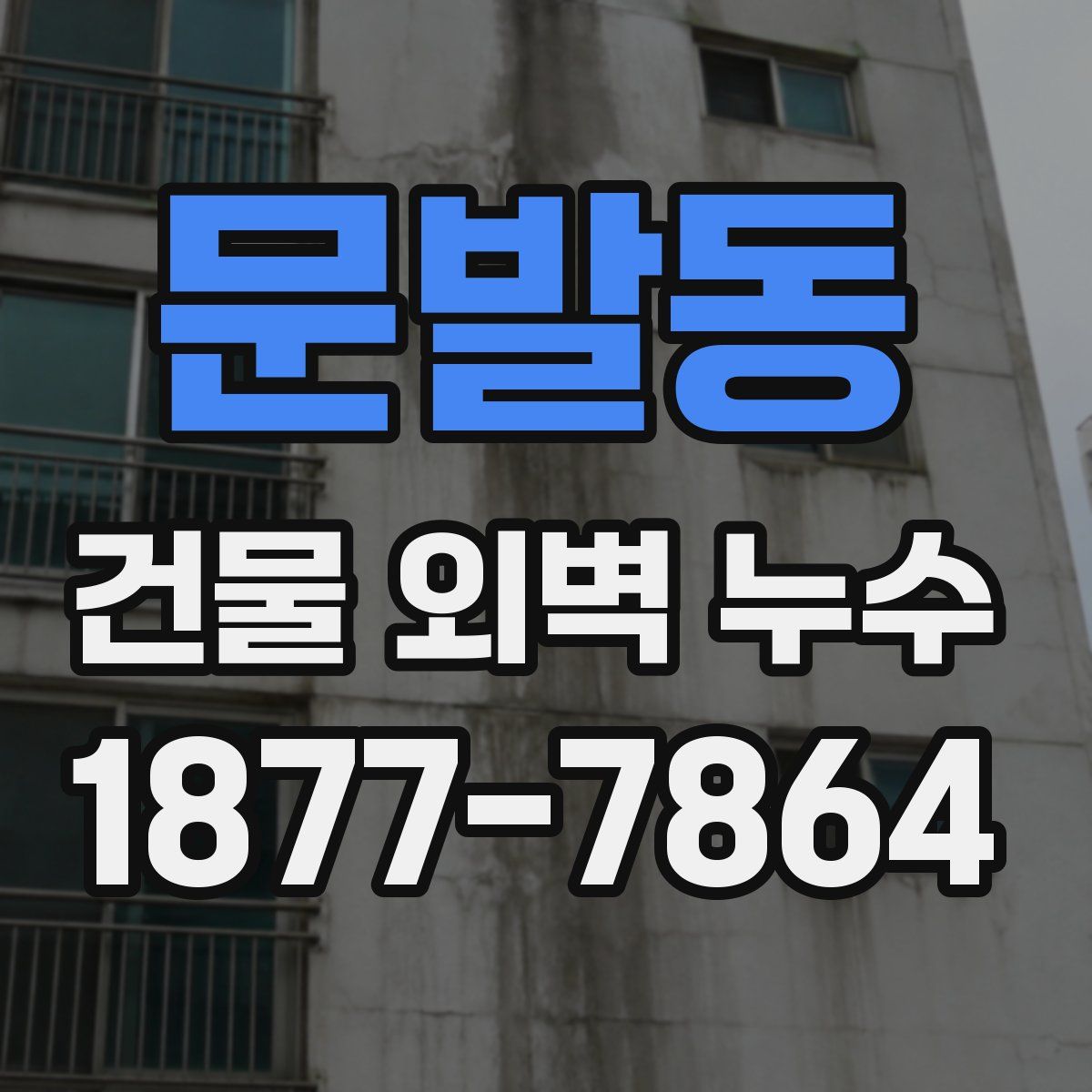 문발동 건물 외벽 누수