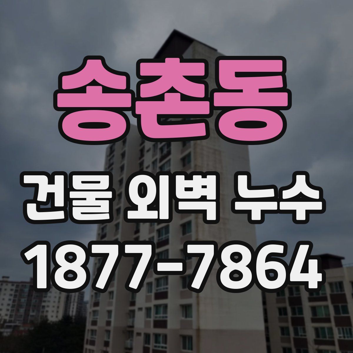송촌동 건물 외벽 누수