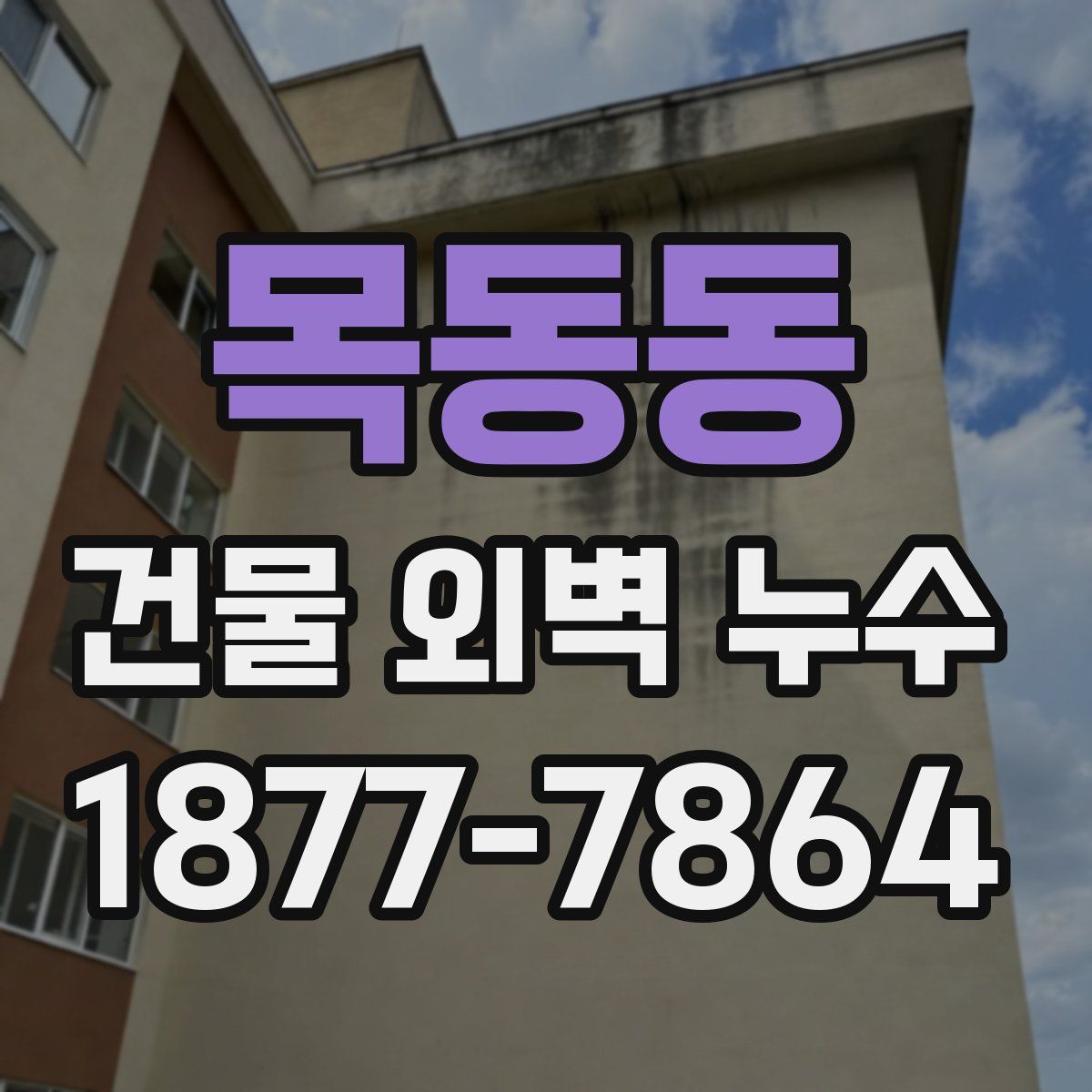 목동동 건물 외벽 누수