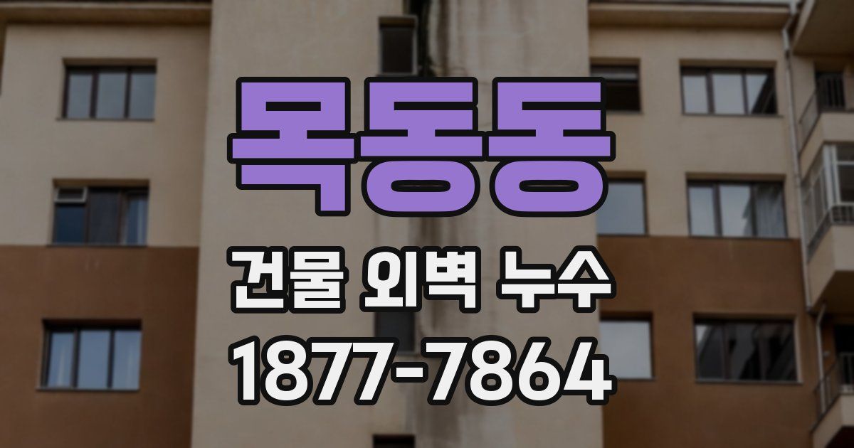 목동동 건물 외벽 누수