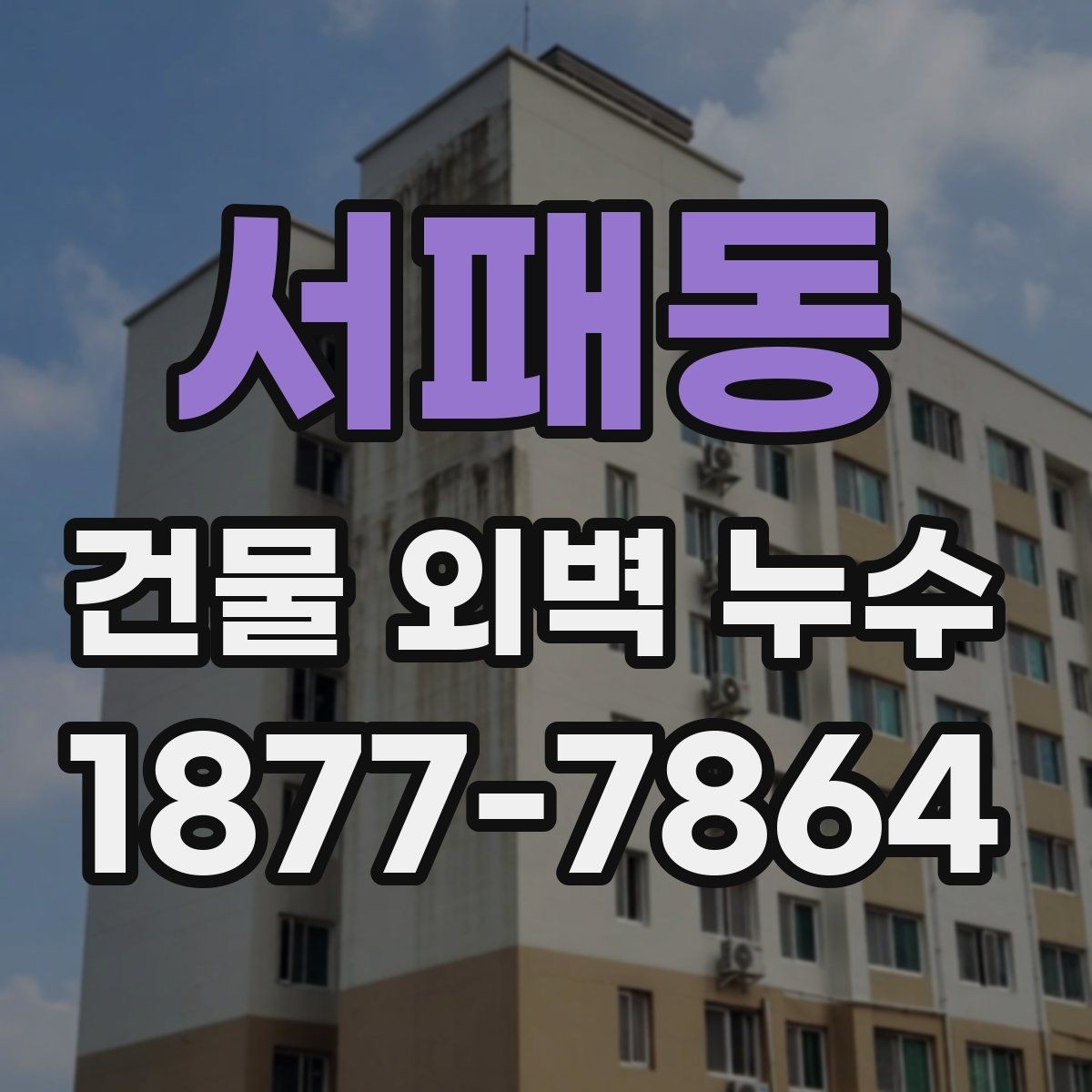 서패동 건물 외벽 누수 문제를 줄이는 유지보수 방법