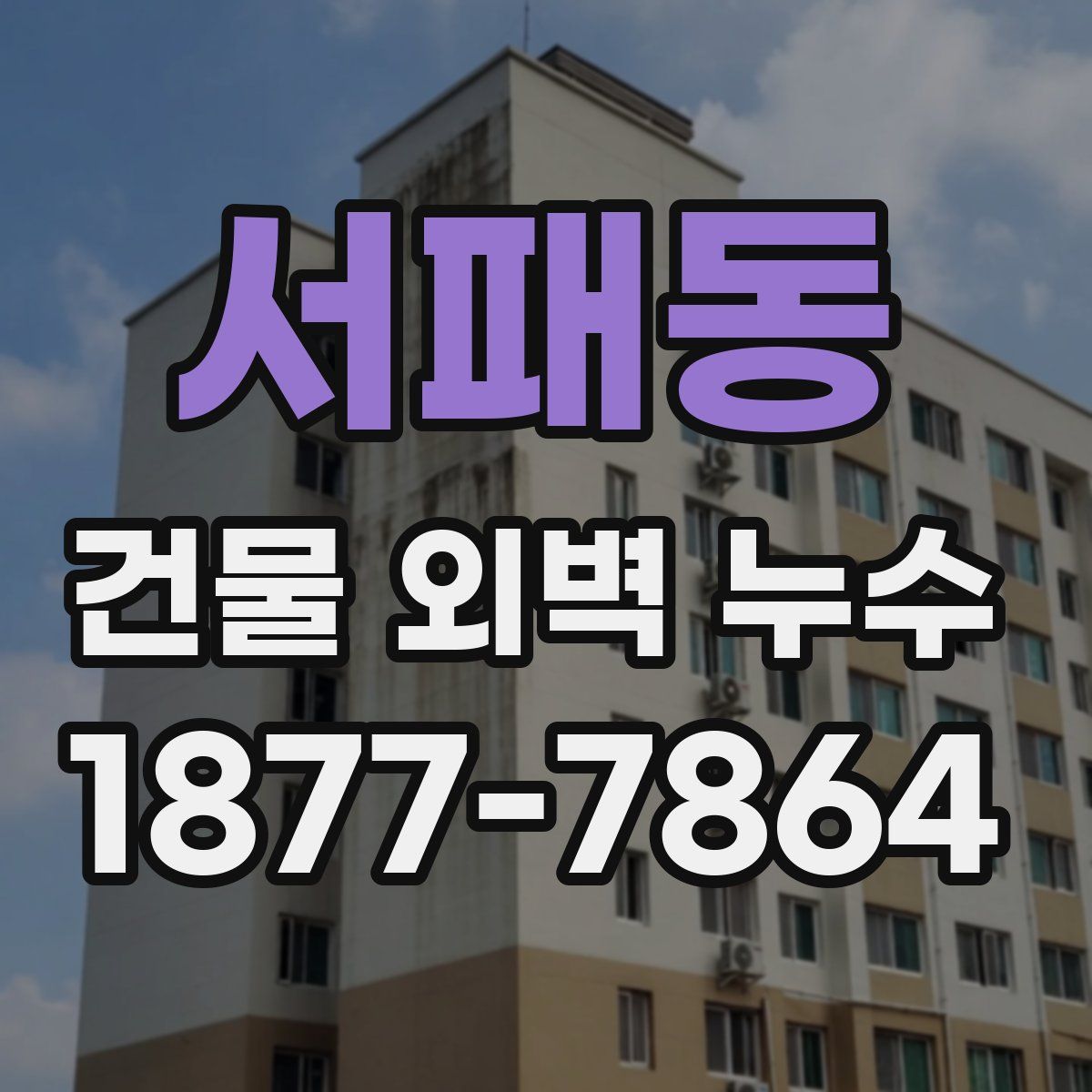 서패동 건물 외벽 누수