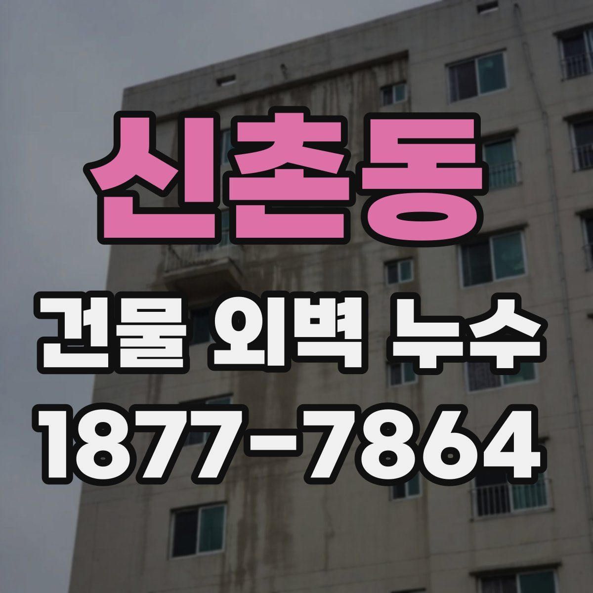신촌동 건물 외벽 누수