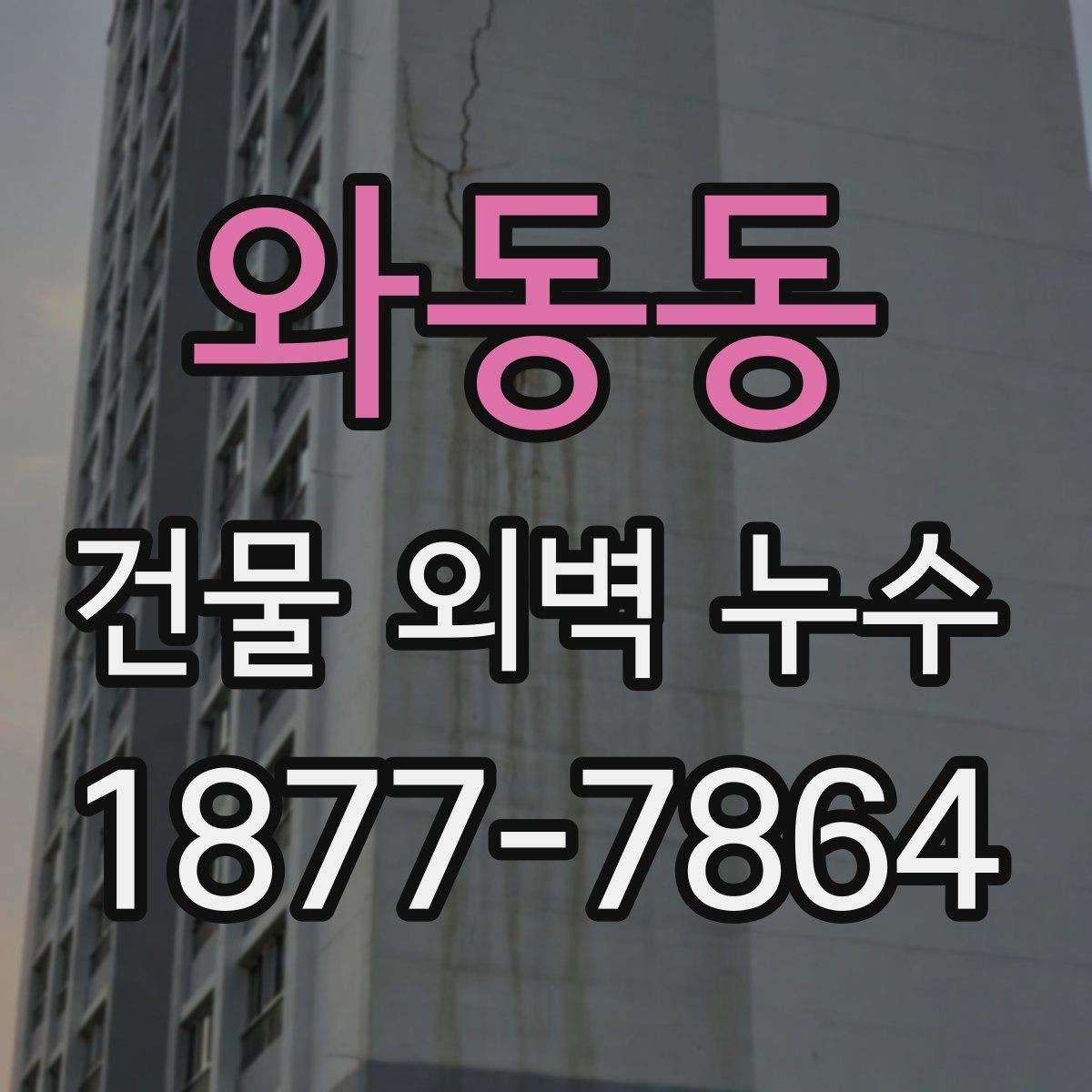 와동동 건물 외벽 누수 예방을 위한 외벽 관리 포인트