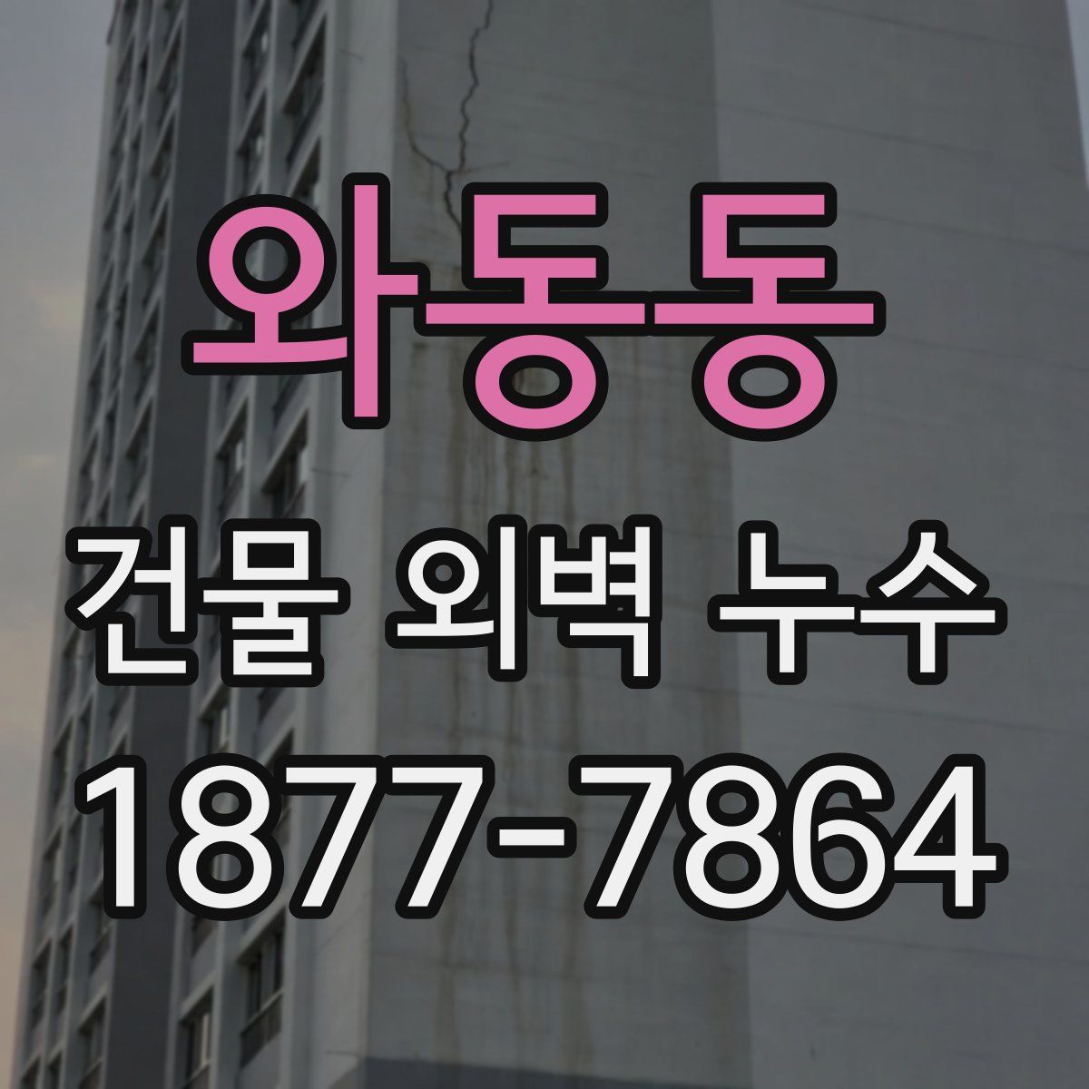 와동동 건물 외벽 누수