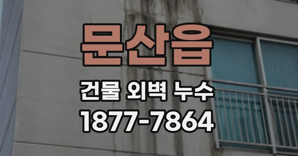 문산읍 건물 외벽 누수