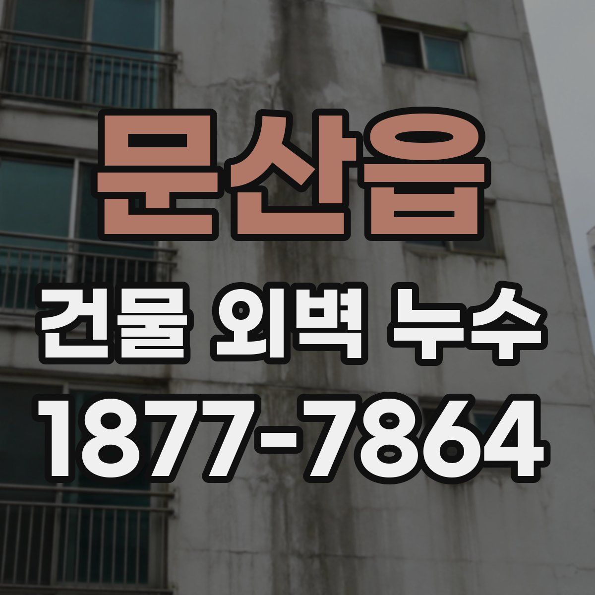 문산읍 건물 외벽 누수
