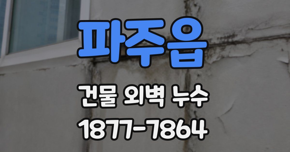파주읍 건물 외벽 누수