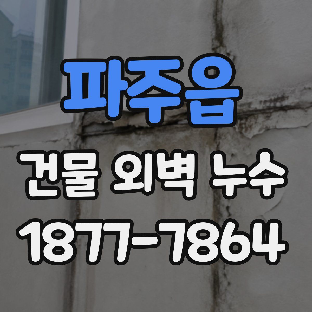 파주읍 건물 외벽 누수