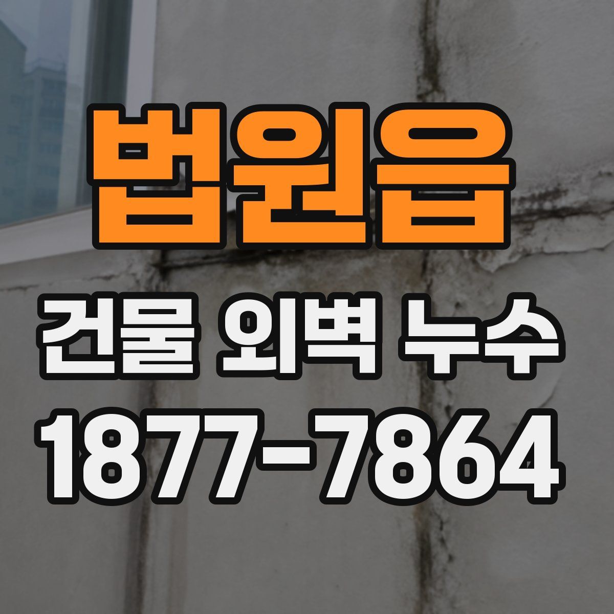 법원읍 건물 외벽 누수