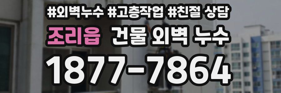 조리읍 건물 외벽 누수
