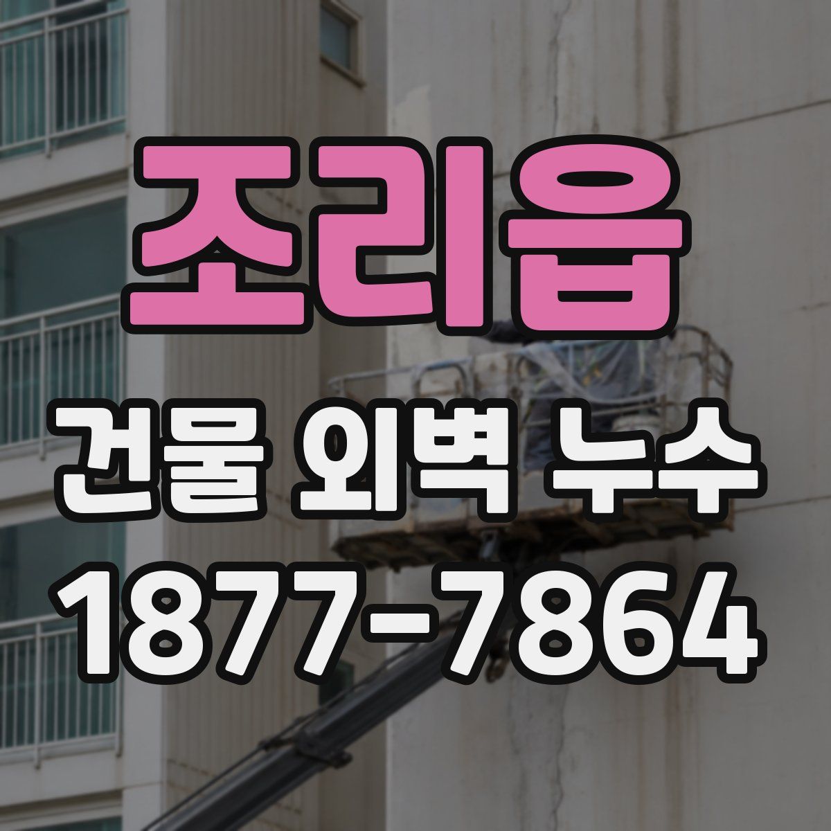 조리읍 건물 외벽 누수