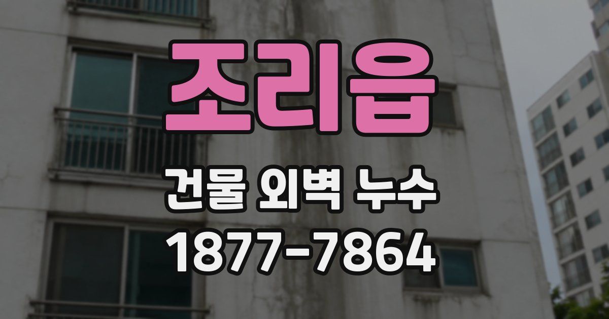 조리읍 건물 외벽 누수