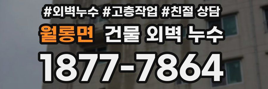월롱면 건물 외벽 누수
