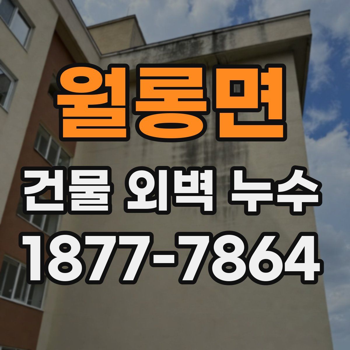 월롱면 건물 외벽 누수