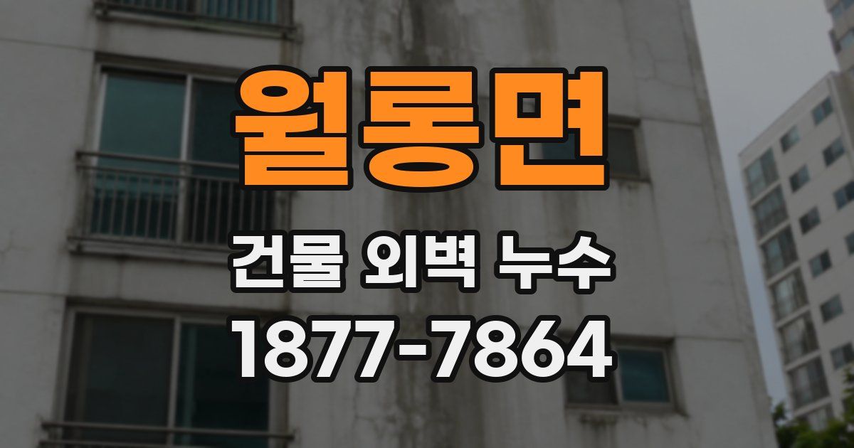 월롱면 건물 외벽 누수