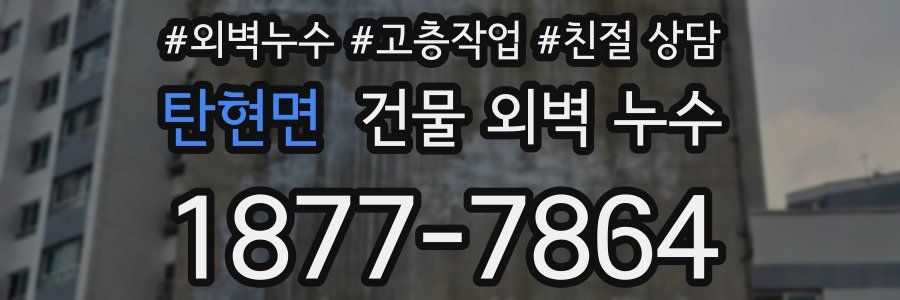 탄현면 건물 외벽 누수