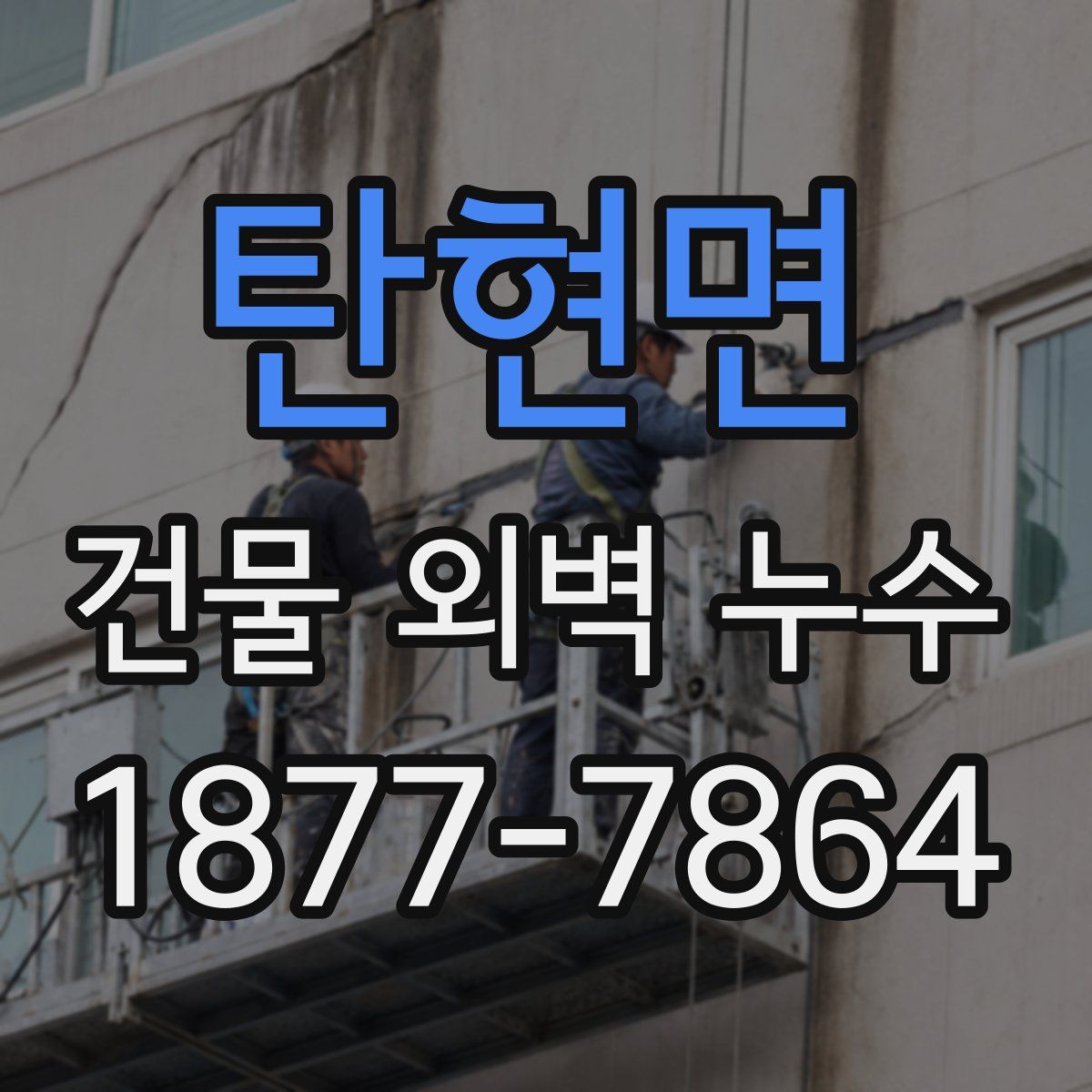 탄현면 건물 외벽 누수
