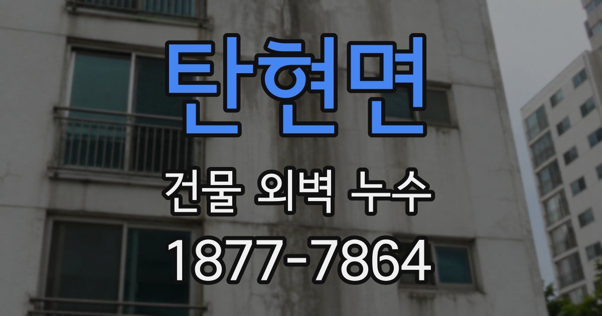 탄현면 건물 외벽 누수