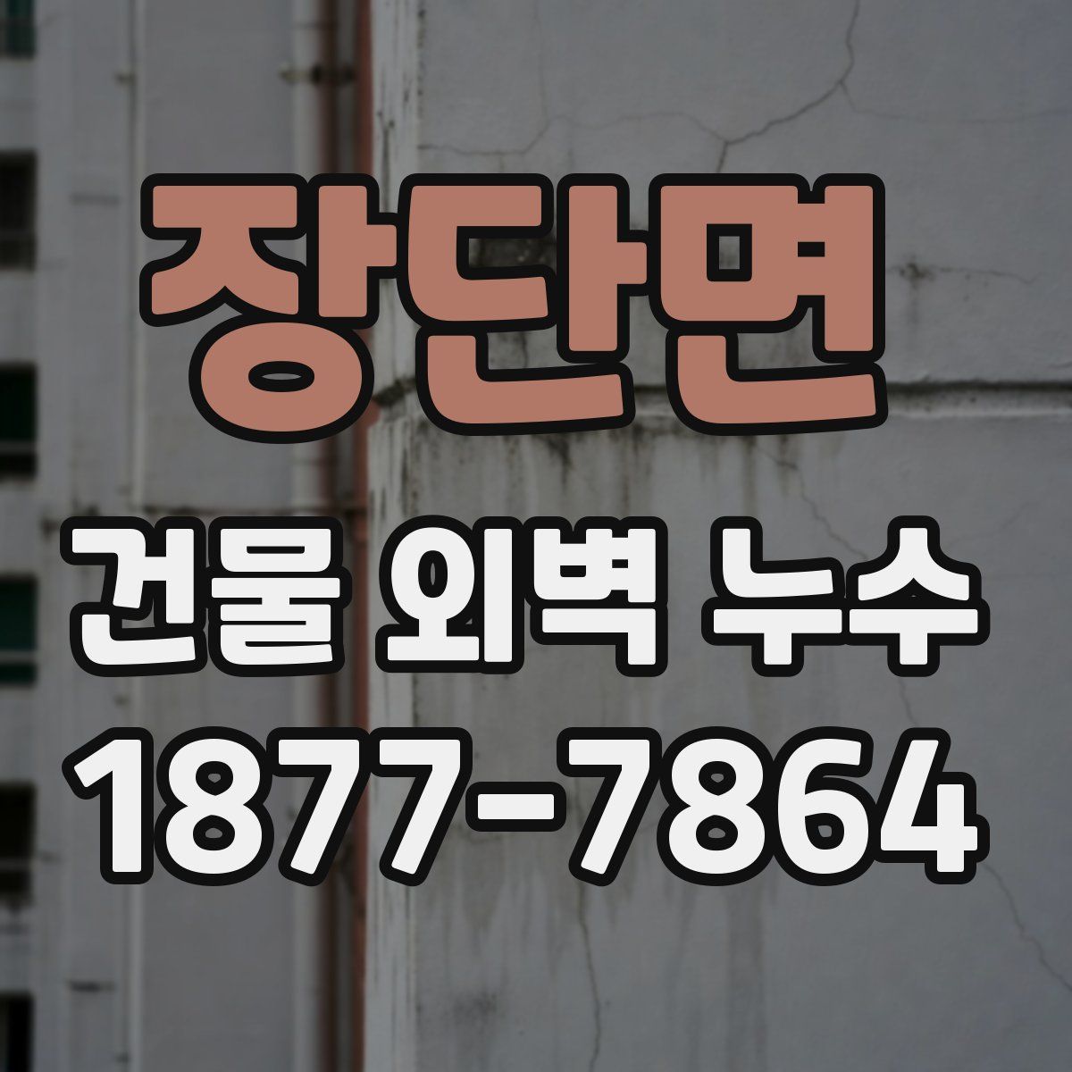 장단면 건물 외벽 누수