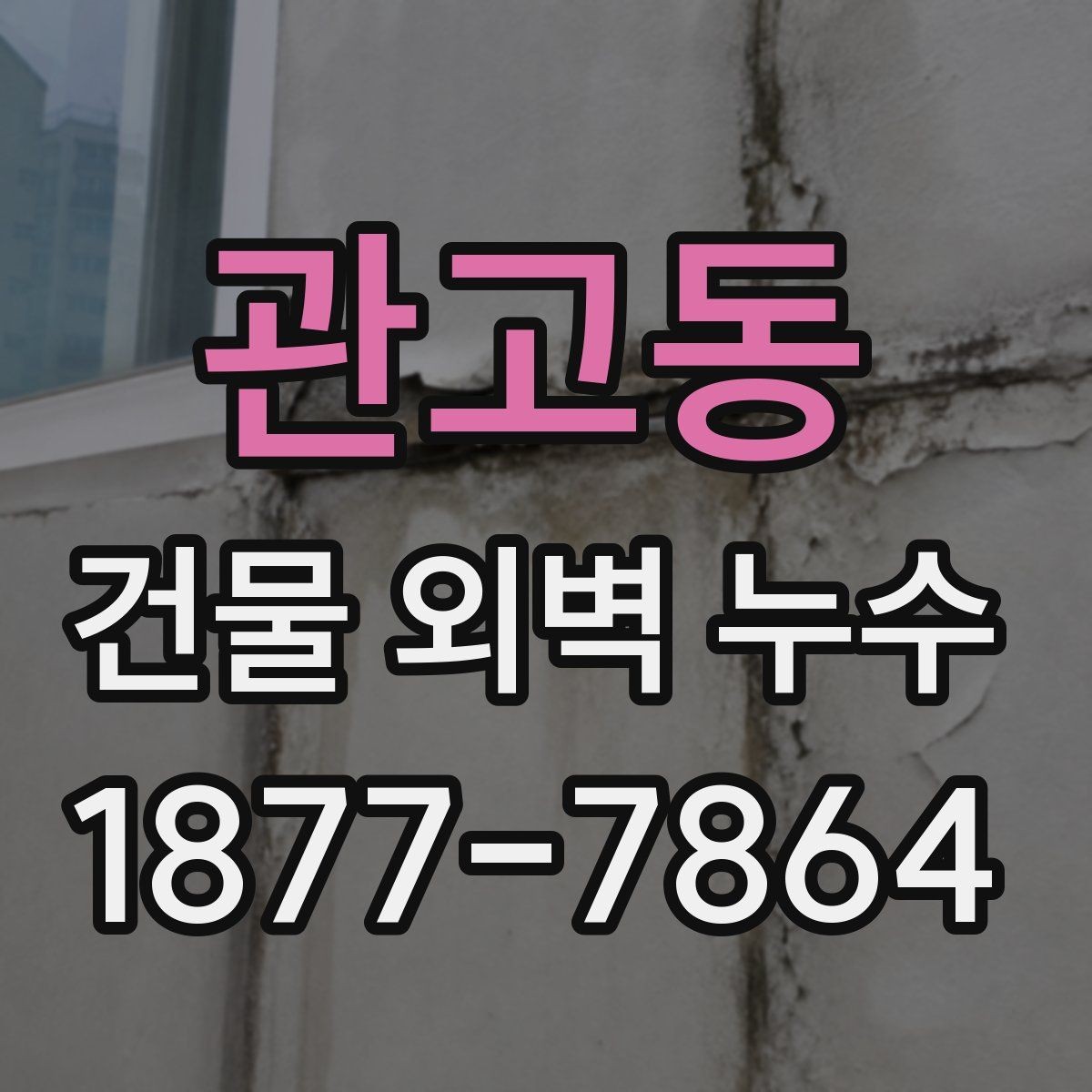 관고동 건물 외벽 누수 장마철 대비 점검 체크