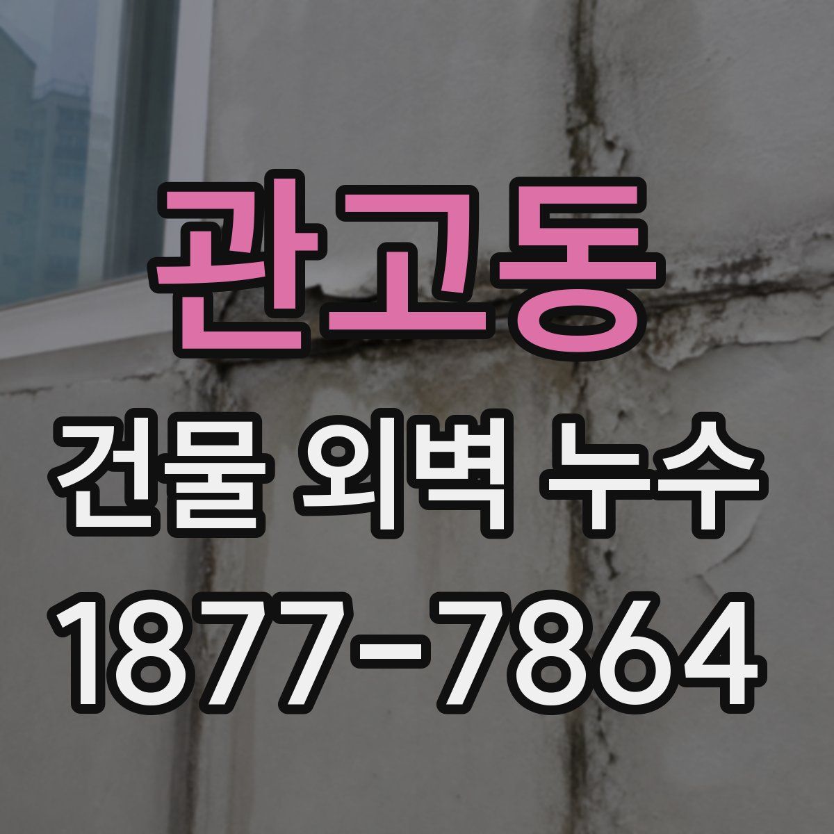 관고동 건물 외벽 누수