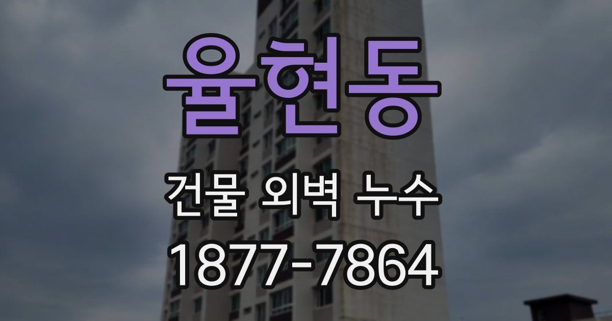 율현동 건물 외벽 누수