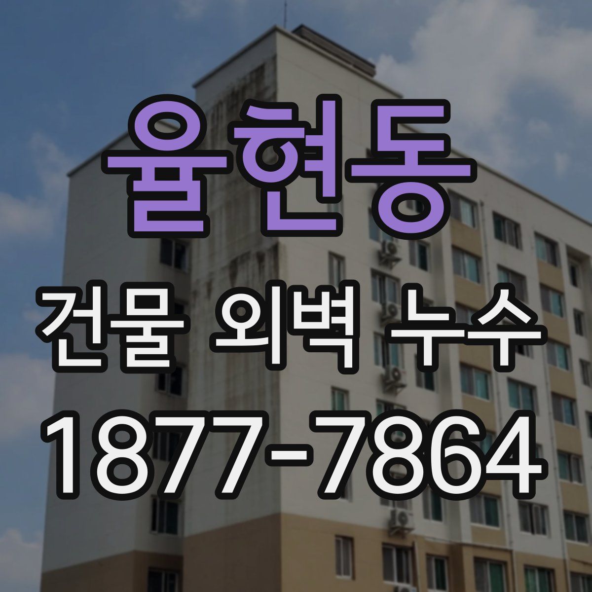 율현동 건물 외벽 누수