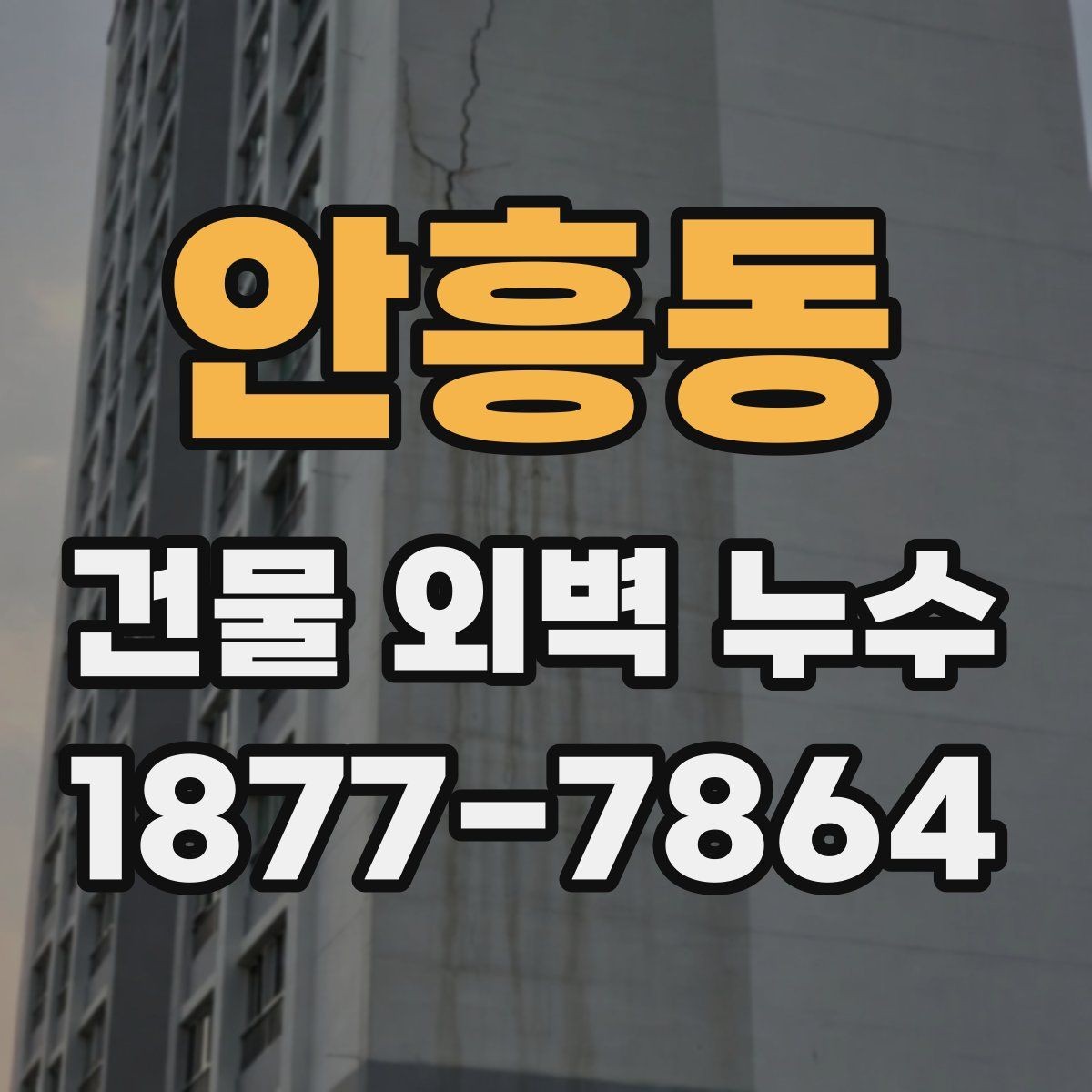 안흥동 건물 외벽 누수 해결을 위한 단계별 점검