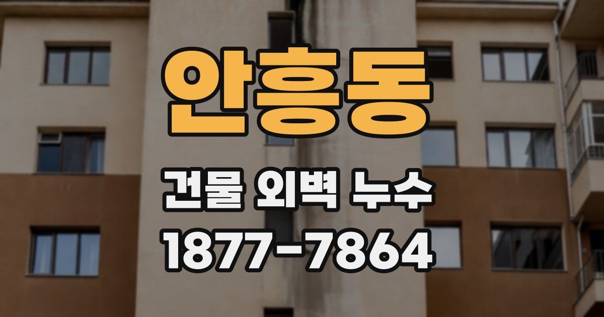 안흥동 건물 외벽 누수