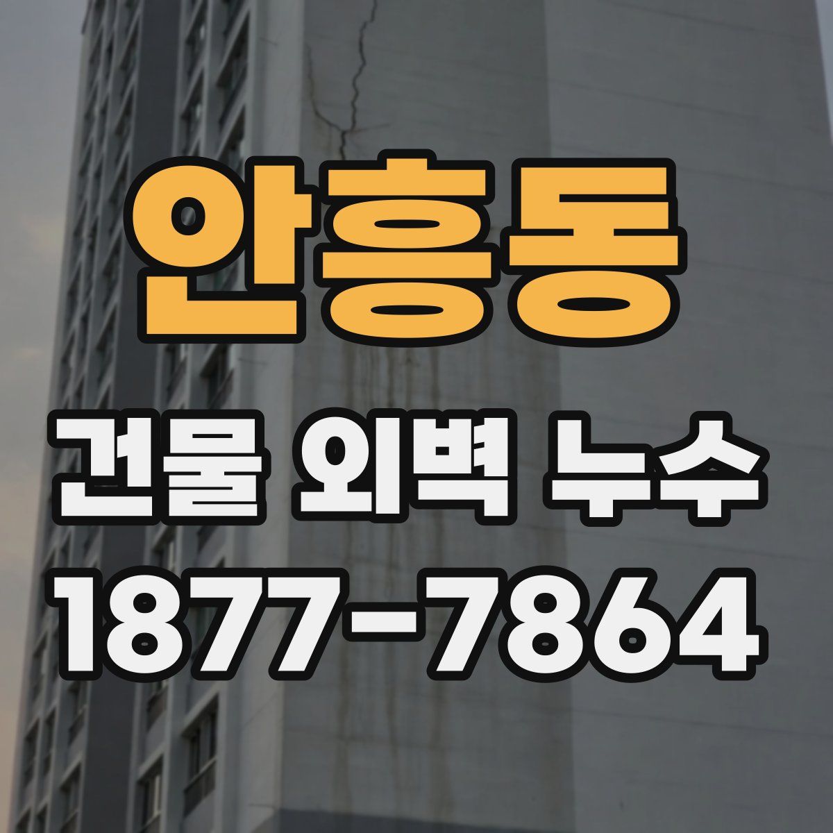 안흥동 건물 외벽 누수