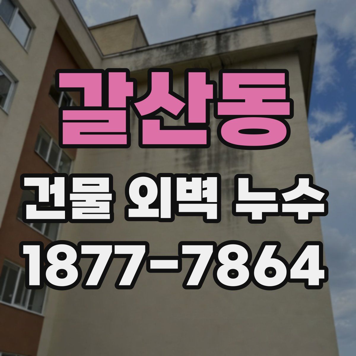 갈산동 건물 외벽 누수